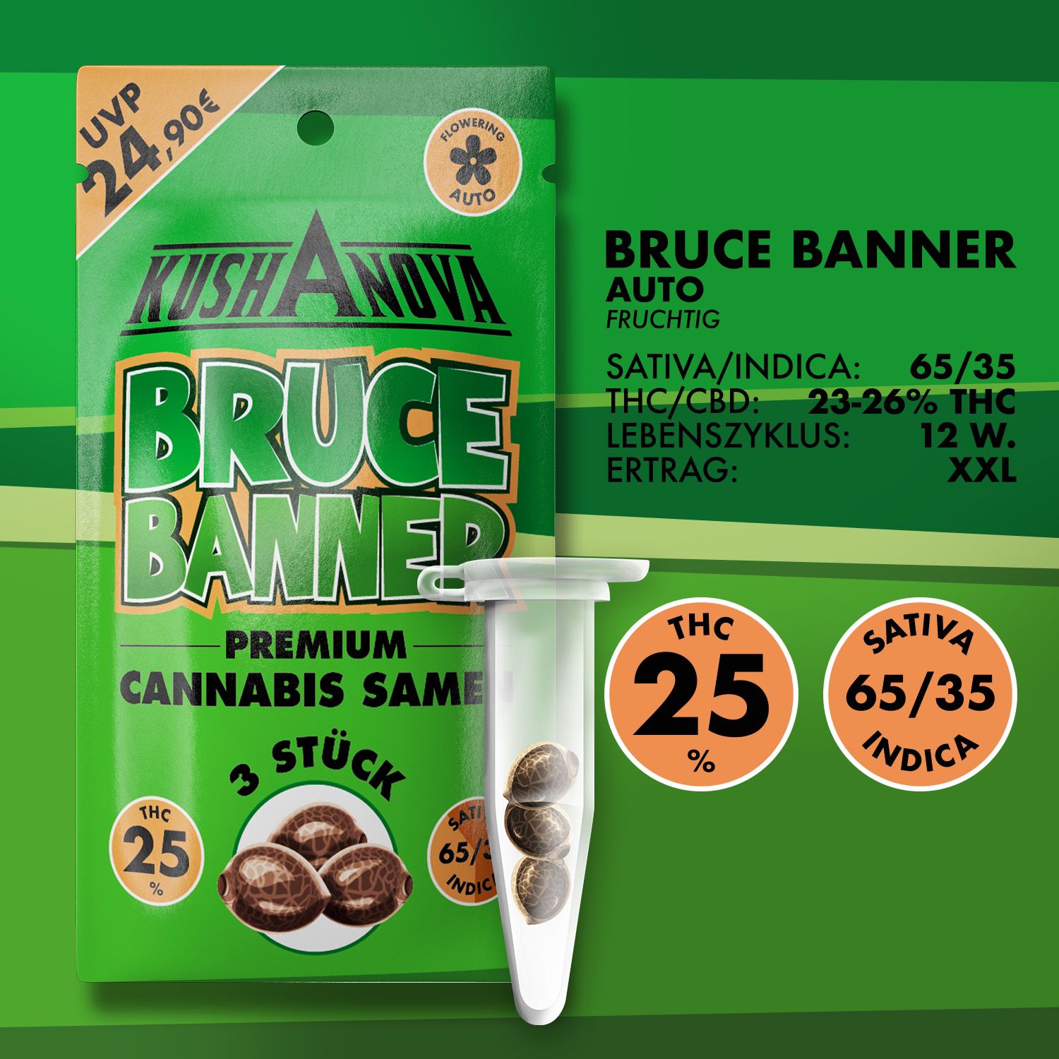 Kushanova Cannabissamen Bruce Banner