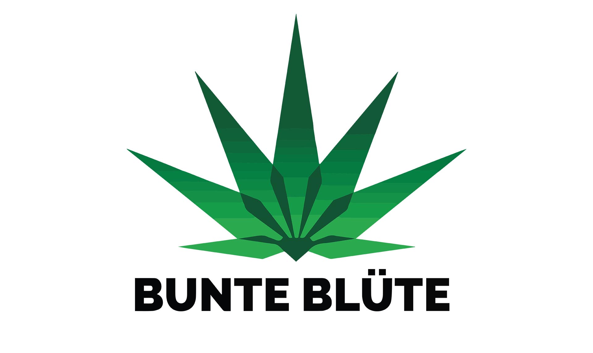 b2b_logo_bunte_bluete_vape