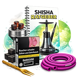Shisha Ratgeber