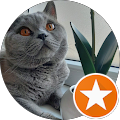 user_profile