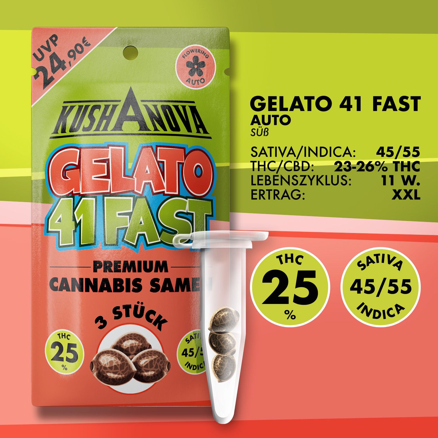 Kushanova Cannabissamen Gelato 41 Fast