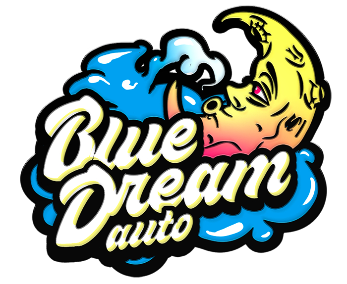 420 Fast Buds Cannabissamen Blue Dream Automatic