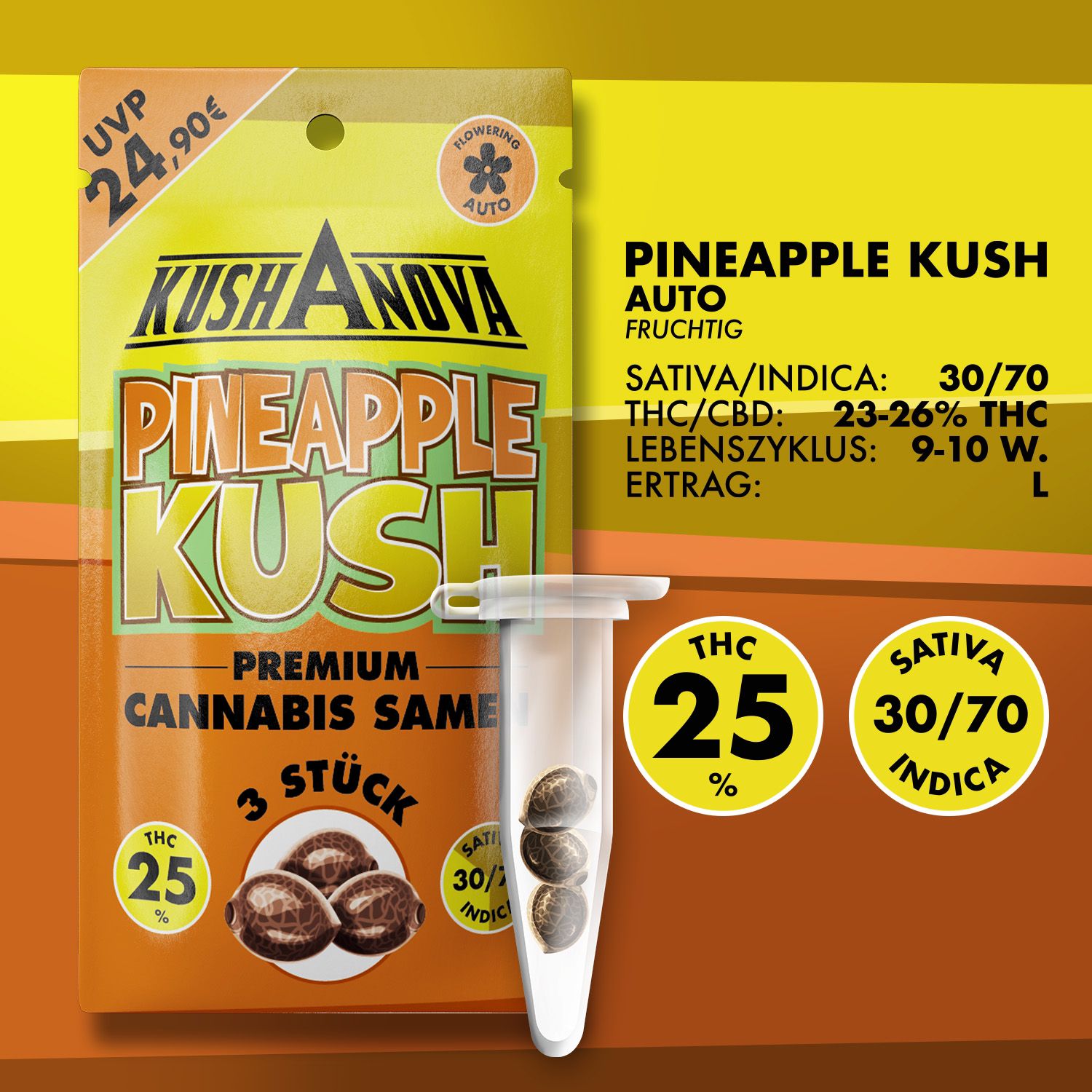 Kushanova Cannabissamen Pineapple Kush Kushanova Cannabissamen Pineapple Kush
