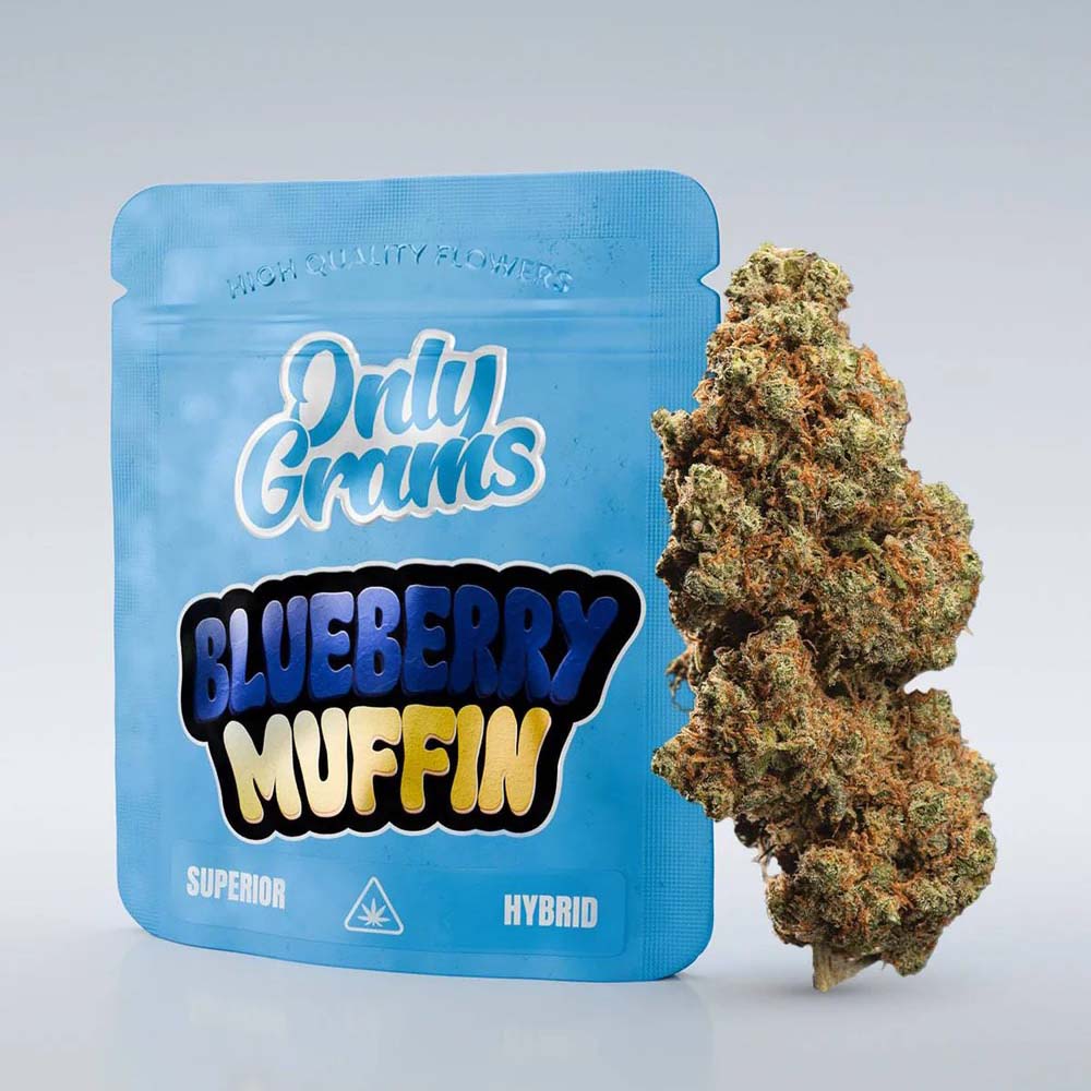Only Grams Superior Blend Bluete Blueberry Muffin