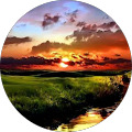 user_profile