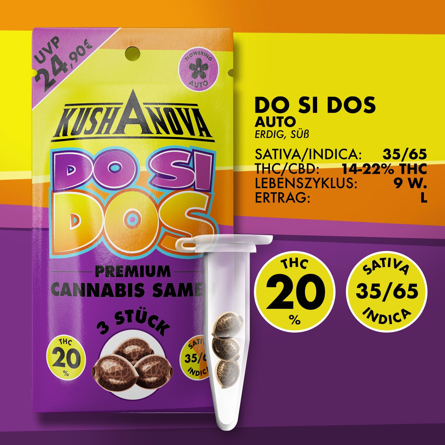 Kushanova Cannabissamen Do Si Dos Kushanova Cannabissamen Do Si Dos