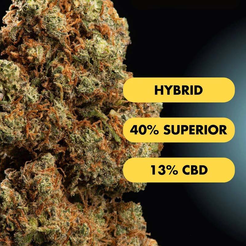Only Grams Superior Blend Blüte Blueberry Muffin
