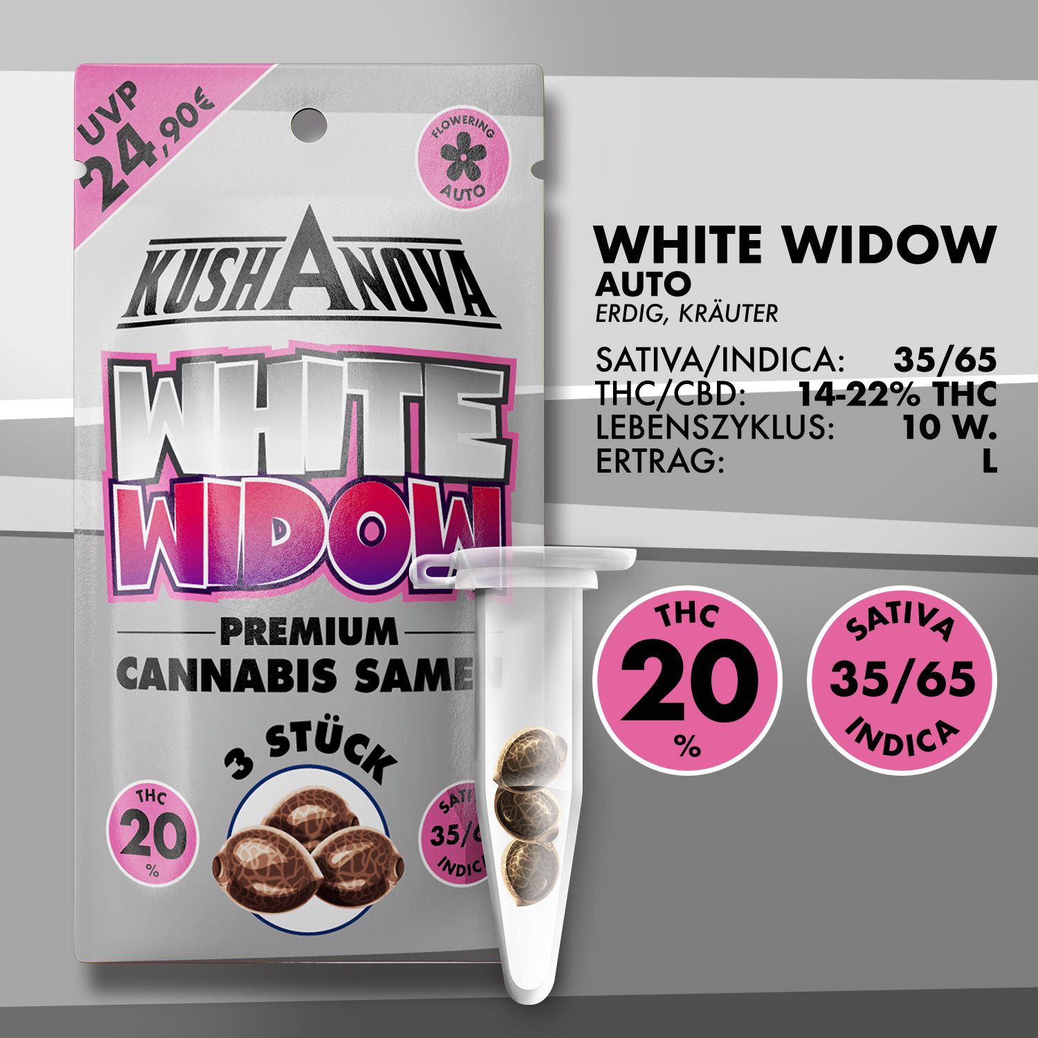 Kushanova Cannabissamen White Widow Kushanova Cannabissamen White Widow