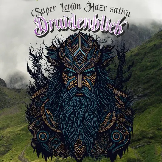 Highclans Superior Blend Vape Druidenblick 1ml Highclans Superior Blend Vape Druidenblick 1ml