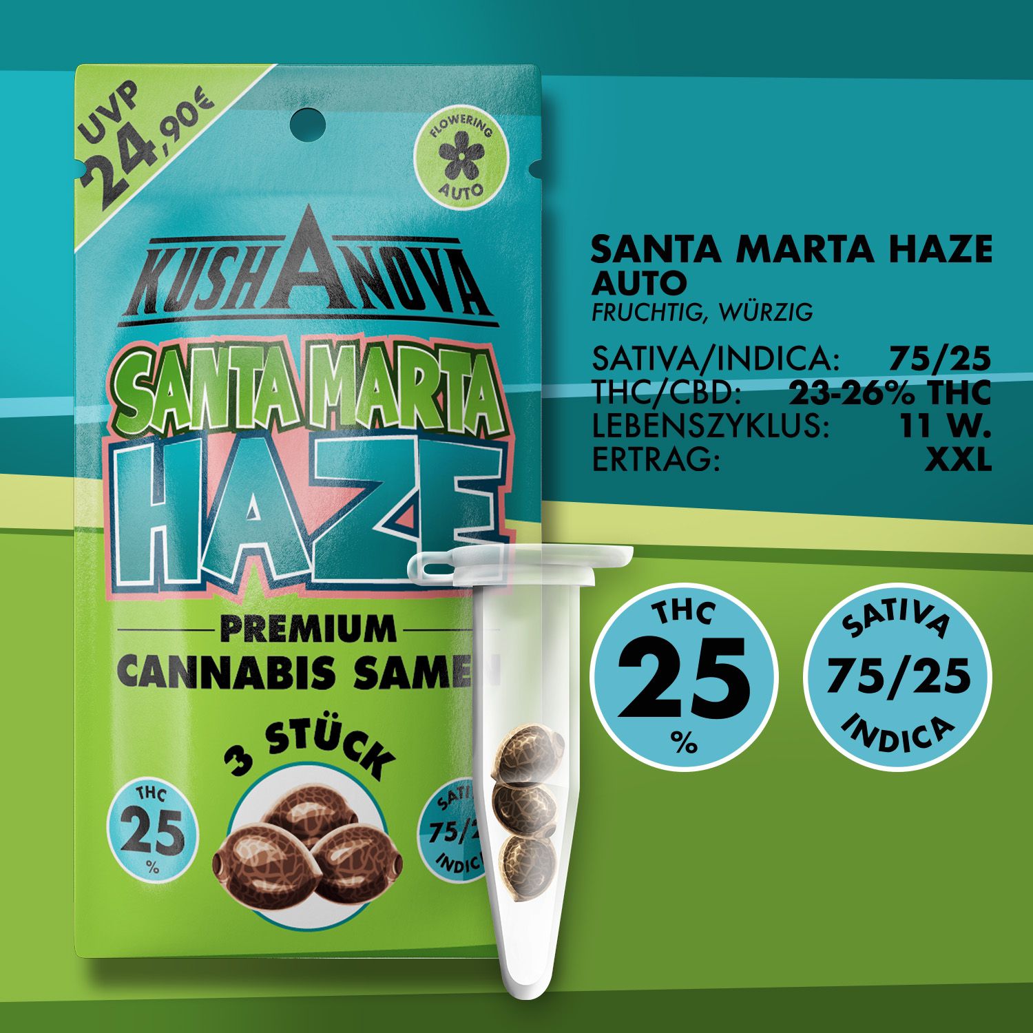 Kushanova Cannabissamen Santa Marta Haze