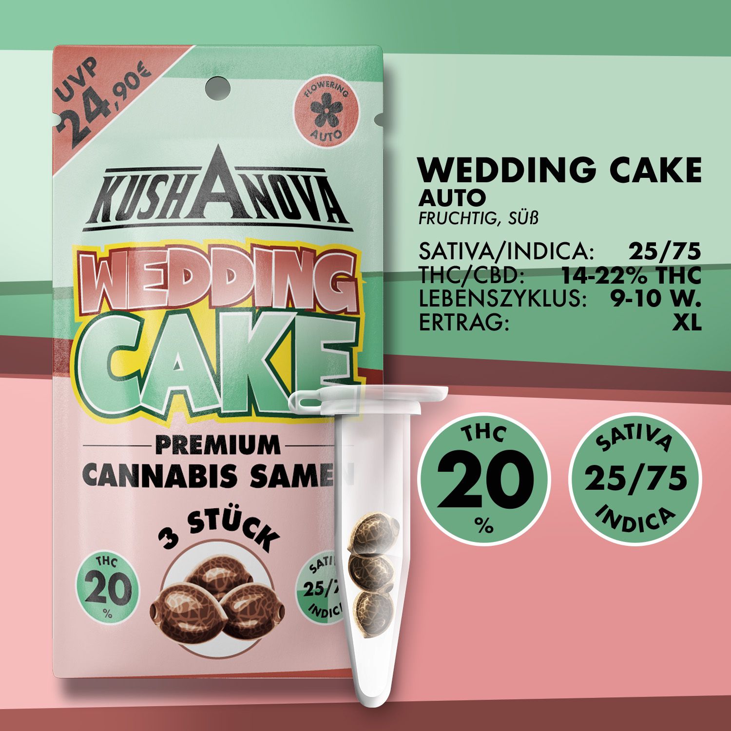 Kushanova Cannabissamen Wedding Cake