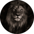 user_profile