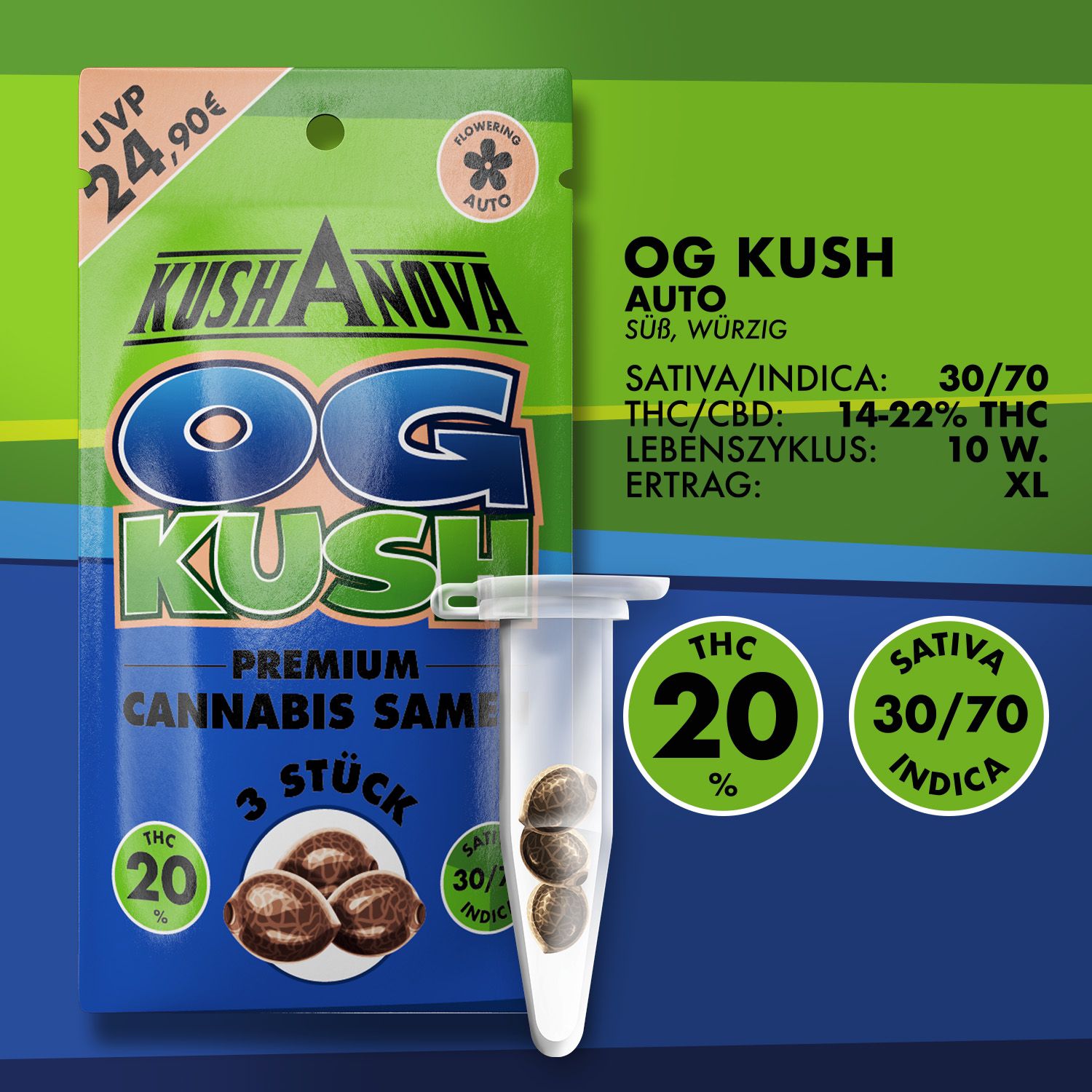 Kushanova Cannabissamen OG Kush Kushanova Cannabissamen OG Kush