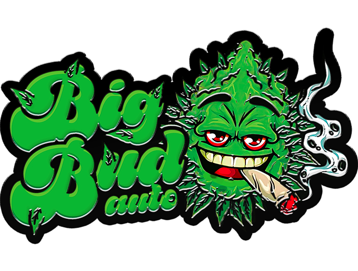 420 Fast Buds Cannabissamen Big Bud Automatic