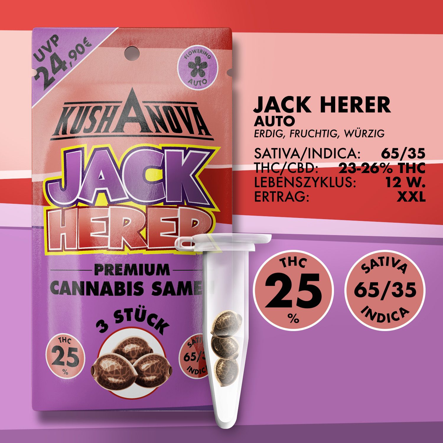 Kushanova Cannabissamen Jack Herer