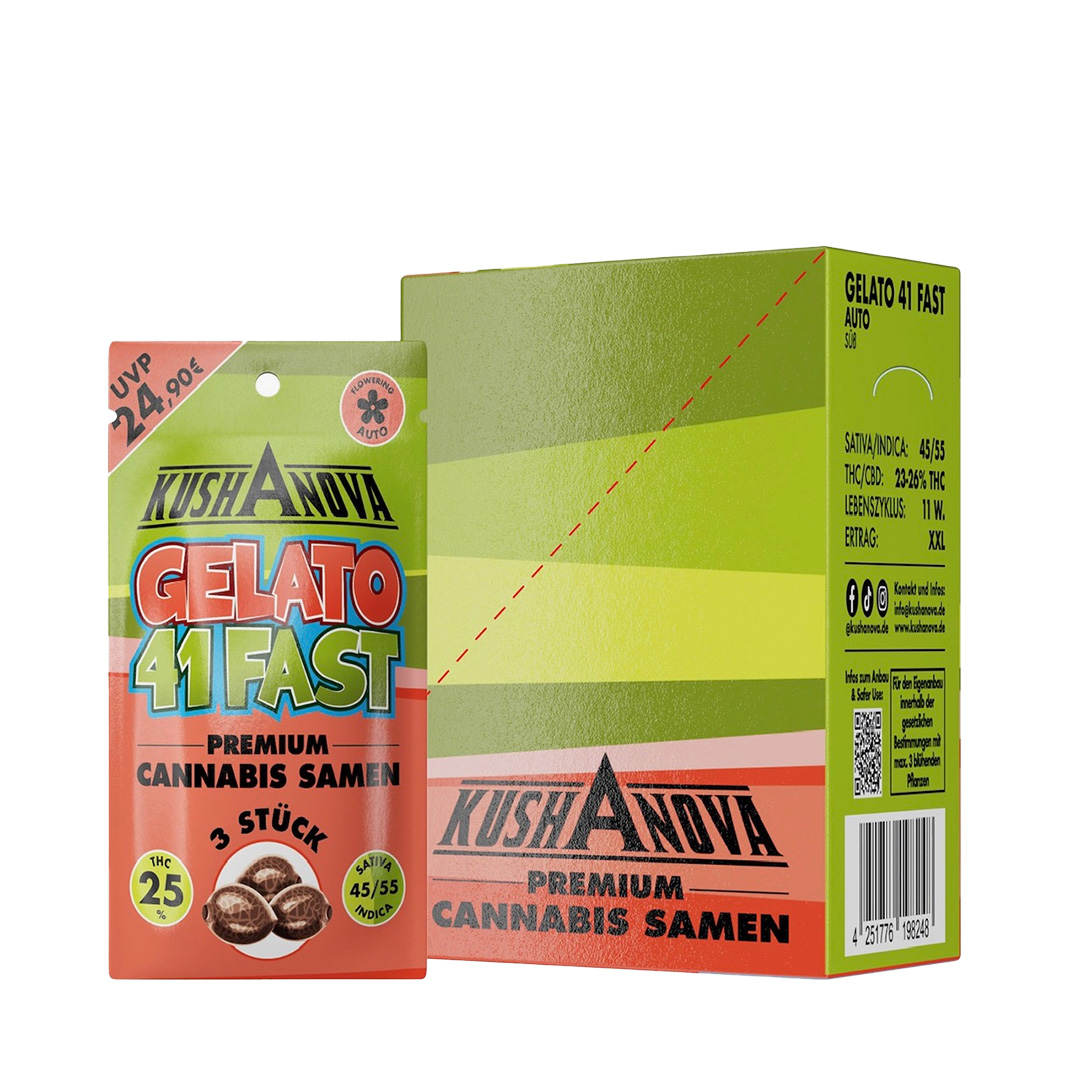 Kushanova Cannabissamen Gelato 41 Fast Kushanova Cannabissamen Gelato 41 Fast
