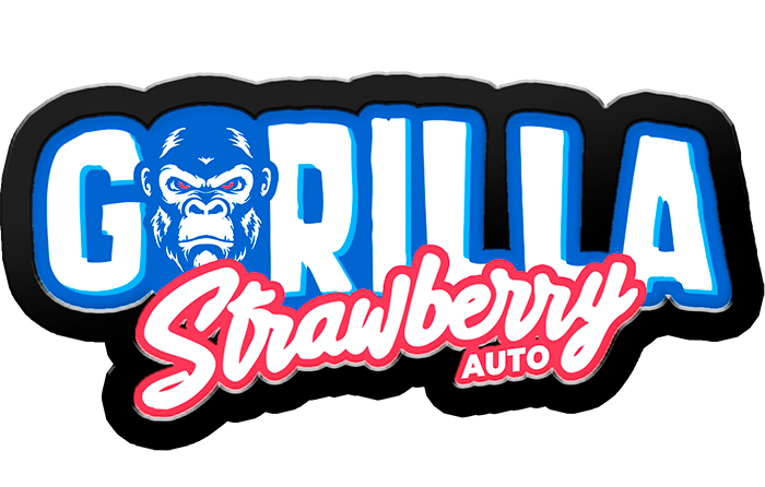 420 Fast Buds Cannabissamen Gorilla Strawberry Automatic