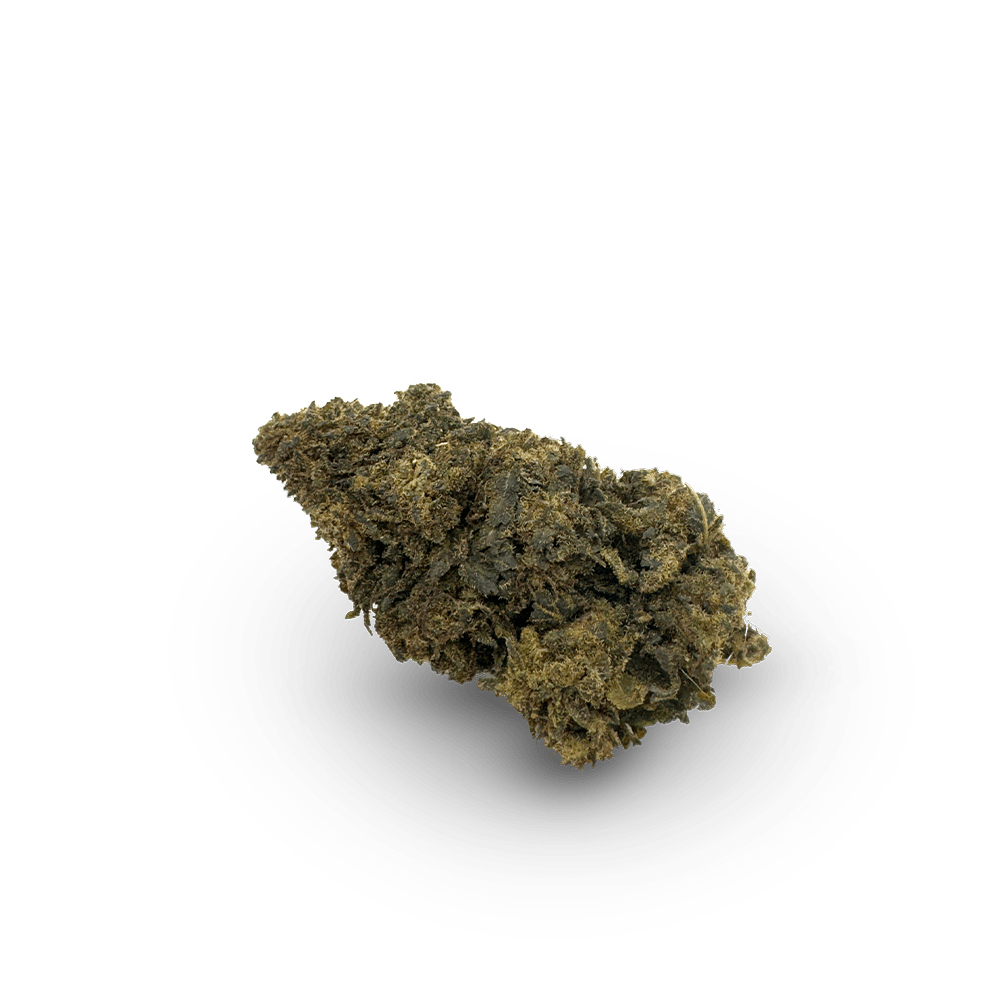 I Love Pot CBH Blüte Amnesia Blüte