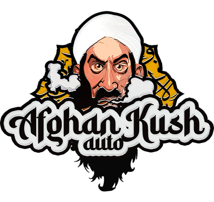 420 Fast Buds Cannabissamen Afghan Kush Automatic