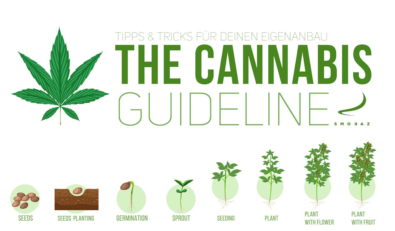 Cannabis Guideline Cannabis Guideline