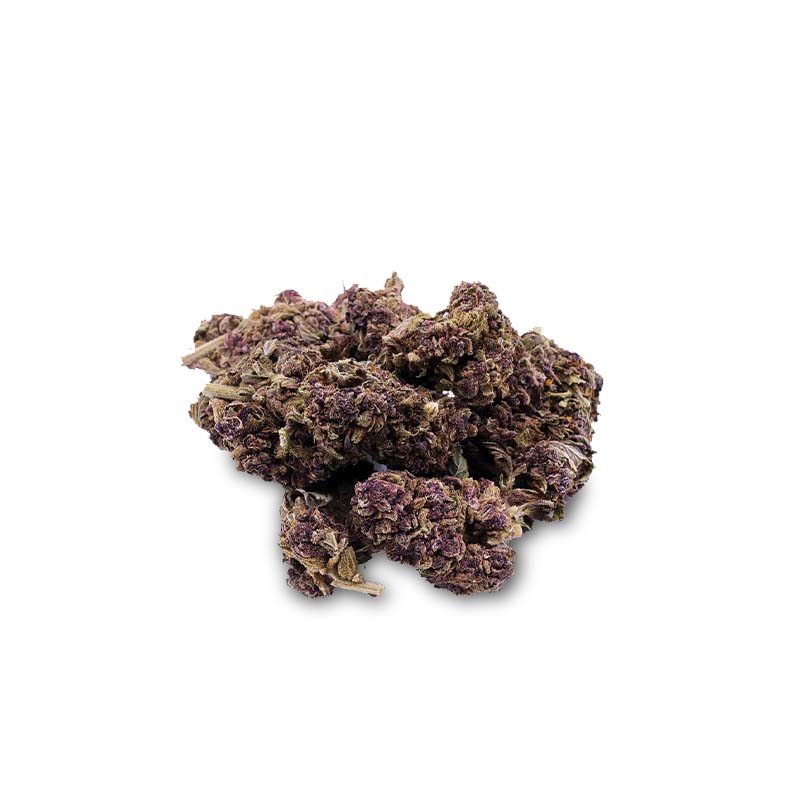 I Love Pot CBD Blüte Purple Haze 1g